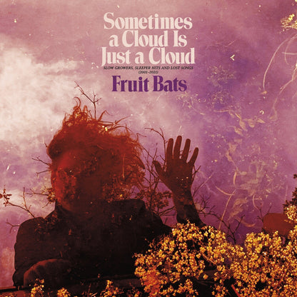Sometimes A Cloud Is Just A Cloud: Slow Growers (2LP) & Baby Man