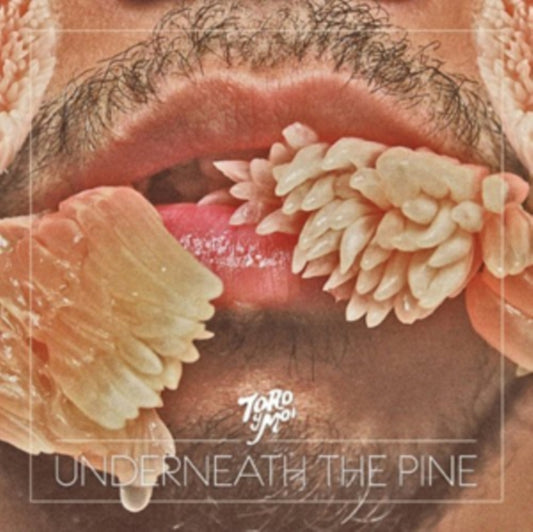 Toro Y Moi - Underneath The Pine - LP Vinyl