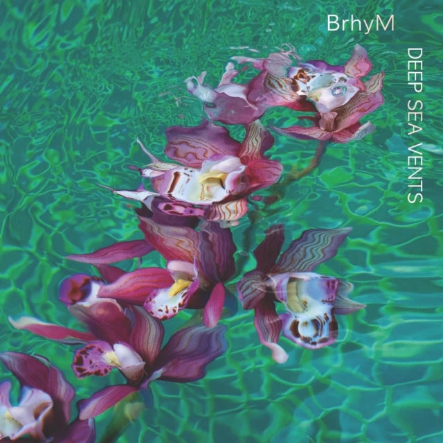 This CD is brand new.Format: CDThis item's title is: Deep Sea VentsArtist: BrhymBarcode: 691835885834Release Date: 3/1/2024