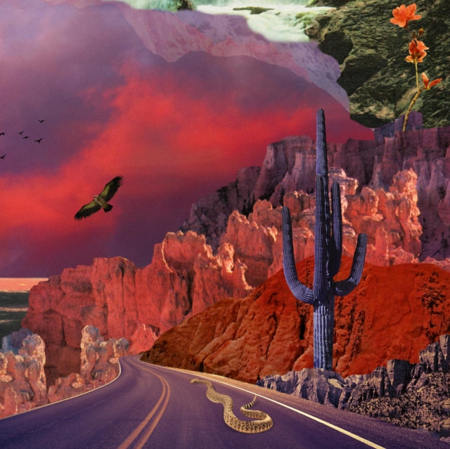 This LP Vinyl is brand new.Format: LP VinylThis item's title is: Apollyon (2LP/180G)Artist: TurkuazBarcode: 697560815191Release Date: 5/23/2025