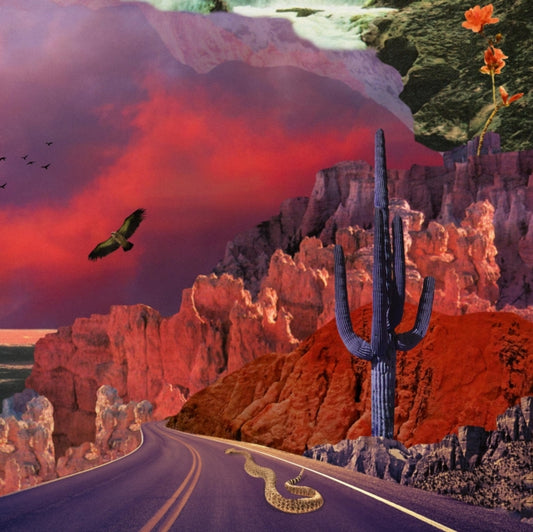 This LP Vinyl is brand new.Format: LP VinylThis item's title is: Apollyon (2LP/180G)Artist: TurkuazBarcode: 697560815191Release Date: 5/23/2025