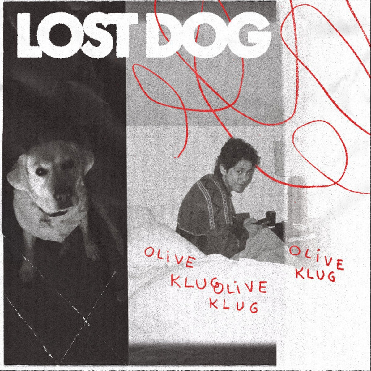 Lost Dog