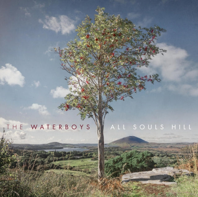 This is a 2 LP Vinyl SKU bundle.
1.This LP Vinyl is brand new.Format: LP VinylMusic Style: Folk RockThis item's title is: Dream Harder (180G)Artist: WaterboysLabel: Geffen RecordsBarcode: 600753988503Release Date: 7/5/2024
2.This LP Vinyl is brand new.