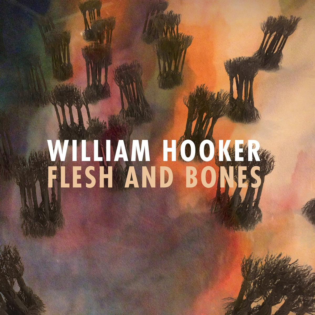 Flesh & Bones