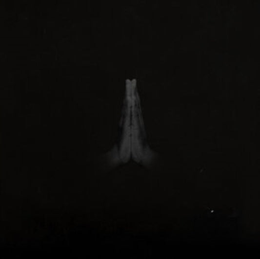 This LP Vinyl is brand new.Format: LP VinylMusic Style: SoulThis item's title is: Untitled (Rise)Artist: SaultLabel: Forever Living OriginalsBarcode: 712221017667Release Date: 5/28/2021