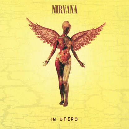 Bleach & Incesticide (20Th Anniversary 45RPM Edition) & In Utero & In Utero: 2013 Mix (2LP) & Nirvana (150G/Dl Code) & Mtv Unplugged In New York (2 LP) & In Utero (180G/33-1/3 RPM) & Unplugged In N.Y.