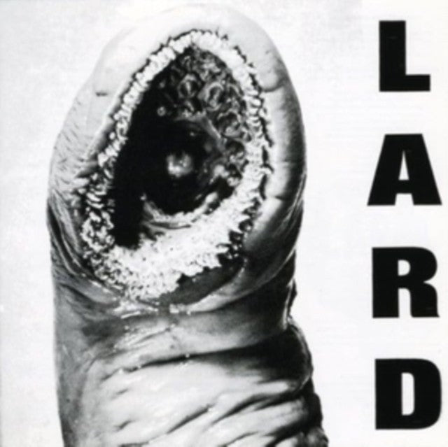 Power Of Lard