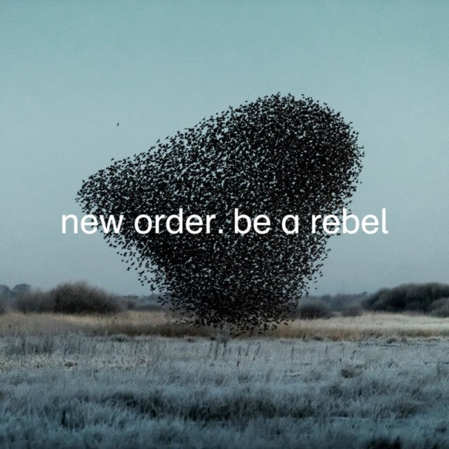 Substance (2023 Reissue) (2LP) & Be A Rebel Ep & Be A Rebel & New Order (Marble LP Vinyl)