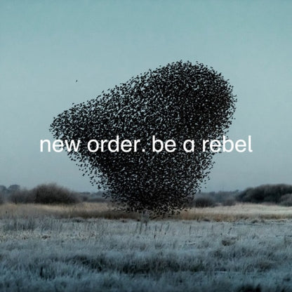 Substance (2023 Reissue) (2LP) & Be A Rebel Ep & Be A Rebel & New Order (Marble LP Vinyl)