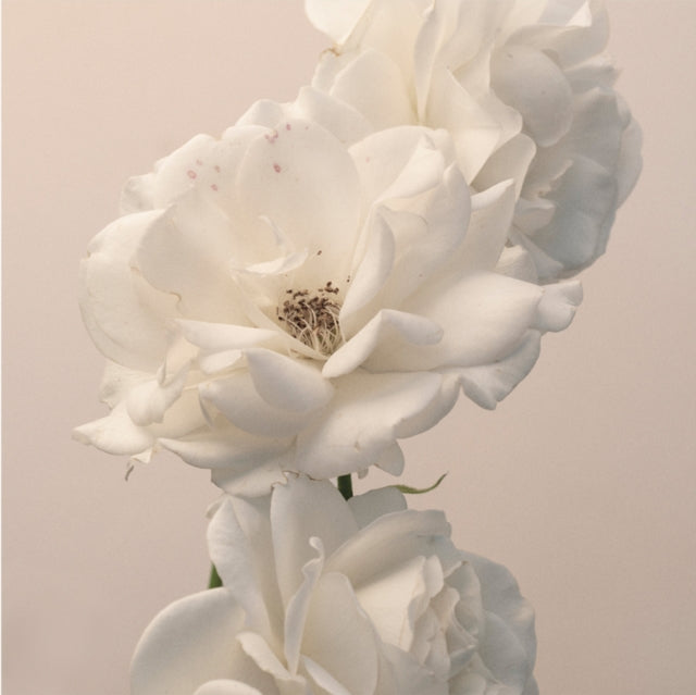 This CD is brand new.Format: CDMusic Style: MetalcoreThis item's title is: Turn The Light On: Acoustic Reimagination V2Artist: ImminenceLabel: Arising EmpireBarcode: 727361514143Release Date: 3/1/2024