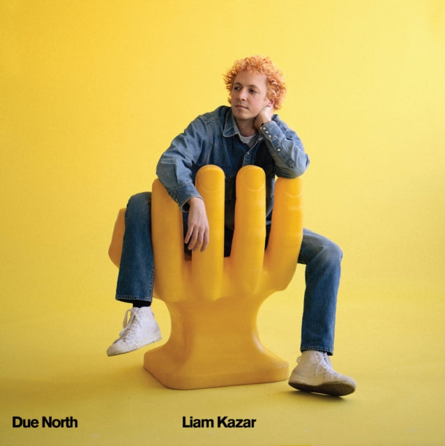 This LP Vinyl is brand new.Format: LP VinylMusic Style: Indie RockThis item's title is: Due NorthArtist: Liam KazarLabel: WOODSIST / MAREBarcode: 733102720414Release Date: 10/8/2021