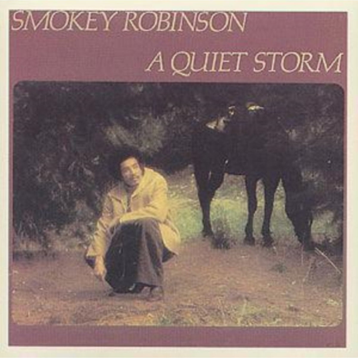 Quiet Storm
