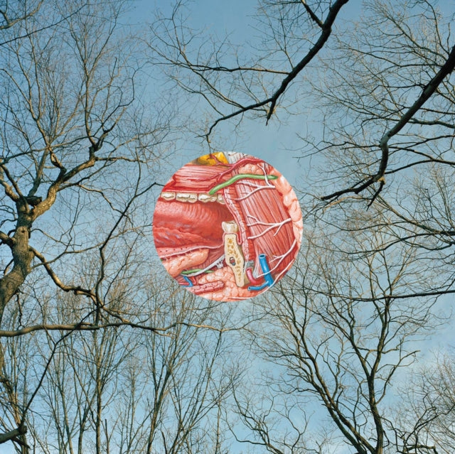 This LP Vinyl is brand new.Format: LP VinylThis item's title is: Glean (Clear W/ Red Whisps LP Vinyl)Artist: They Might Be GiantsBarcode: 738582016712Release Date: 9/26/2025