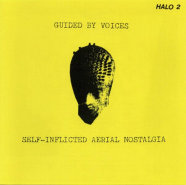 Self-Inflicted Aerial Nostalgia & Same Place The Fly Got Smashed (Color LP Vinyl)