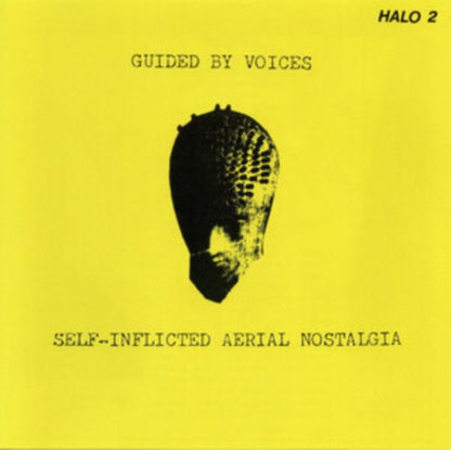 Self-Inflicted Aerial Nostalgia & Same Place The Fly Got Smashed (Color LP Vinyl)