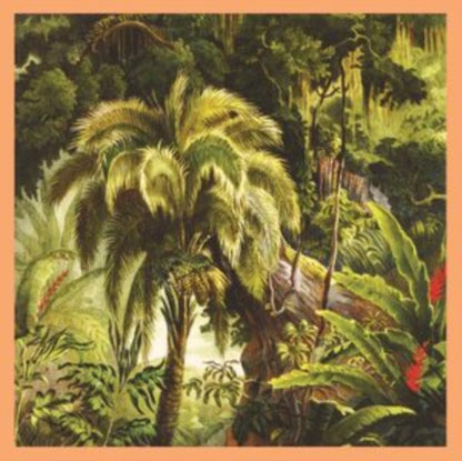 Oh No (Solid Cream & Solid Scarlet LP Vinyl) & La Foret (Sunset Swirl LP Vinyl)