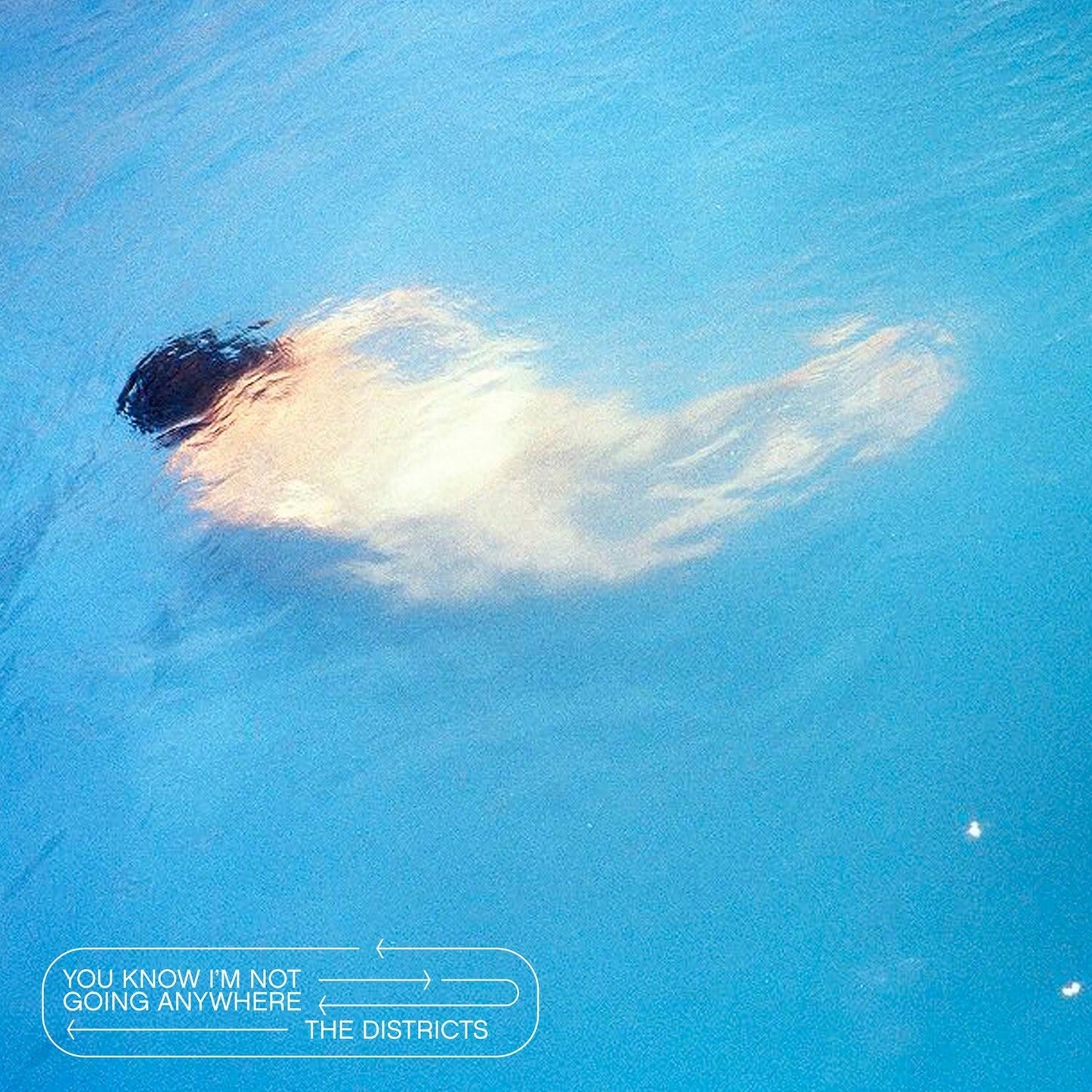 You Know I'm Not Going Anywhere & Great American Painting (Gold LP Vinyl) (I)