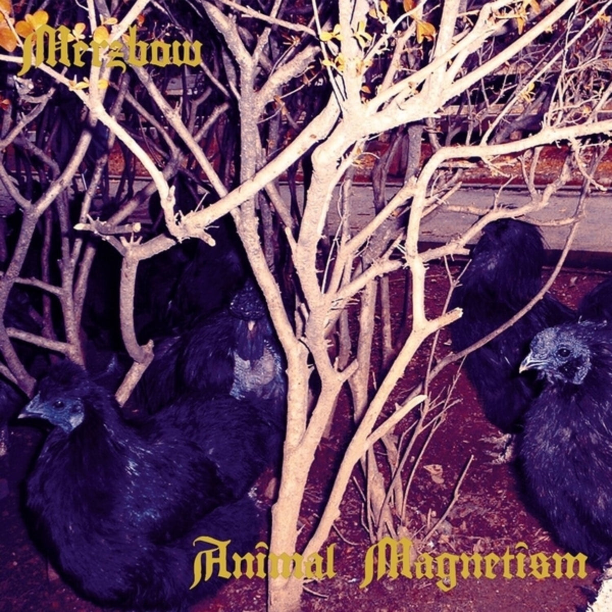 Animal Magnetism (2LP)