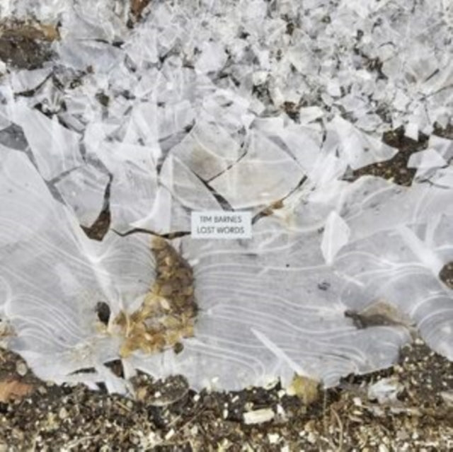 This LP Vinyl is brand new.Format: LP VinylThis item's title is: Lost WordsArtist: Tim BarnesBarcode: 781484302919Release Date: 6/27/2025