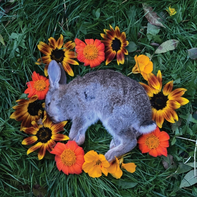 This CD is brand new.Format: CDMusic Style: InstrumentalThis item's title is: Your Time To ShineArtist: MonolordLabel: RELAPSE RECORDSBarcode: 781676748327Release Date: 10/29/2021