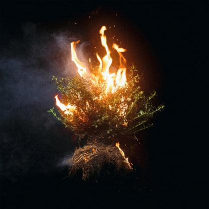 When Wind Meets Fire (2CD) & Can You Imagine?