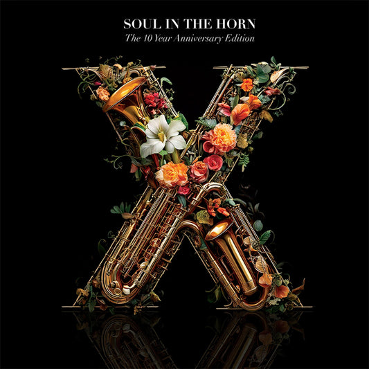 10 Year Anniversary Deluxe Edition (3LP)