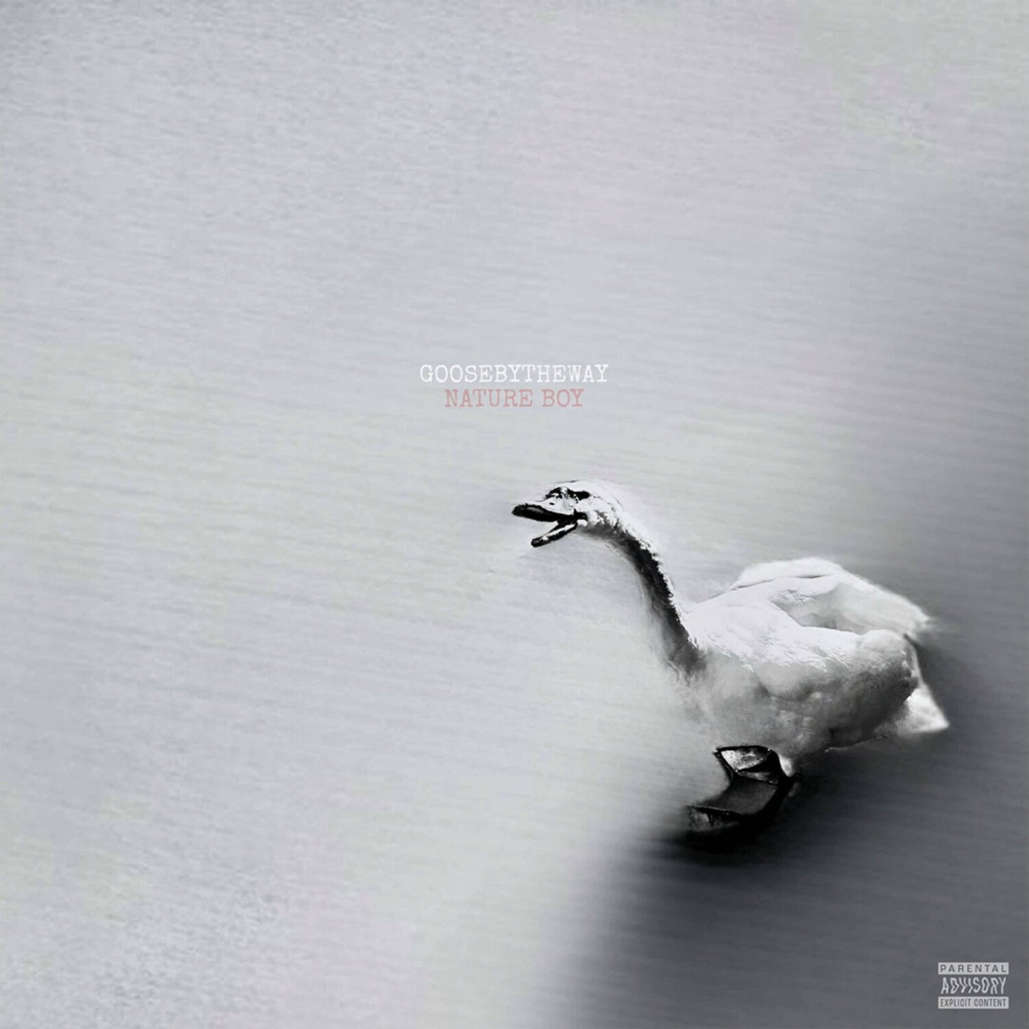 Nature Boy (White LP Vinyl)