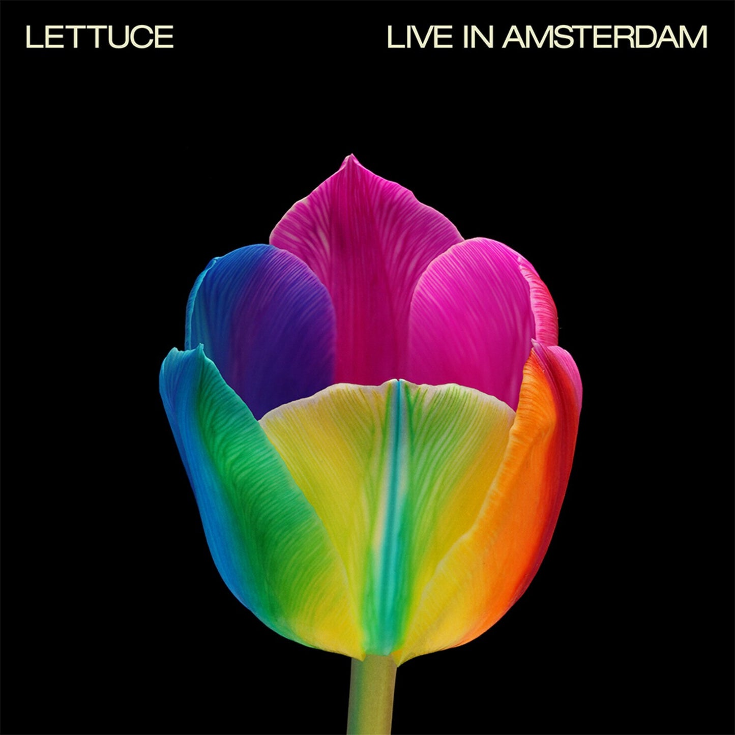 Live In Amsterdam (2LP/Pink Vinyl)