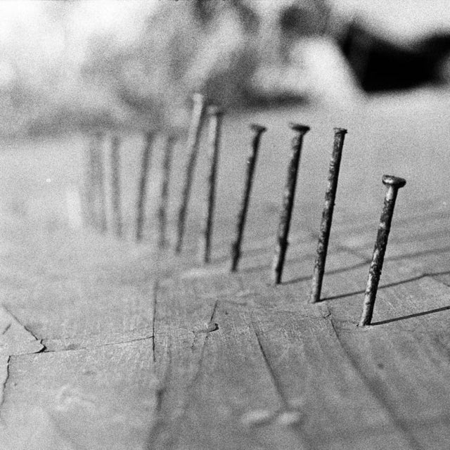 This LP Vinyl is brand new.Format: LP VinylThis item's title is: NailsArtist: Blind SeagullBarcode: 786727876219Release Date: 10/6/2023