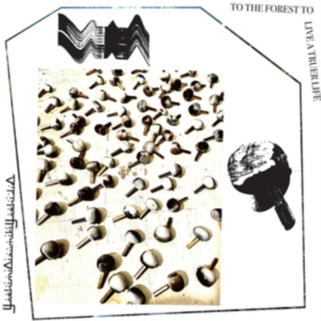 This LP Vinyl is brand new.Format: LP VinylThis item's title is: To The Forest To Live A Truer LifeArtist: YoshimioizumikiyoshiduoLabel: THRILL JOCKEY RECORDSBarcode: 790377057614Release Date: 3/24/2023