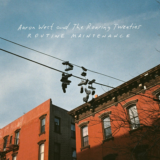 Routine Maintenance (Blue/Orange LP Vinyl/Reissue)
