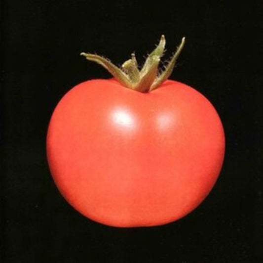 This CD is brand new.Format: CDMusic Style: Post-PunkThis item's title is: ChronophageArtist: ChronophageBarcode: 795853951219Release Date: 7/8/2022