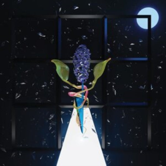 Room With Many Doors-Night