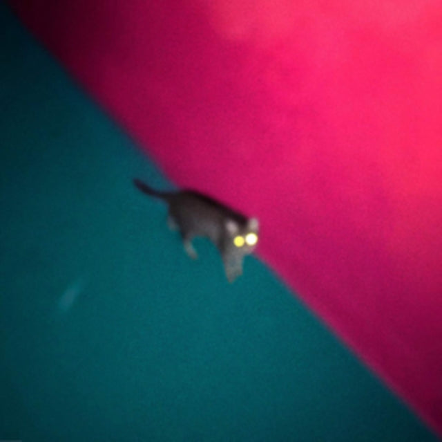 Wallop (2LP/Dl Card)