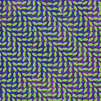 Hollinndagain & Merriweather Post Pavilion