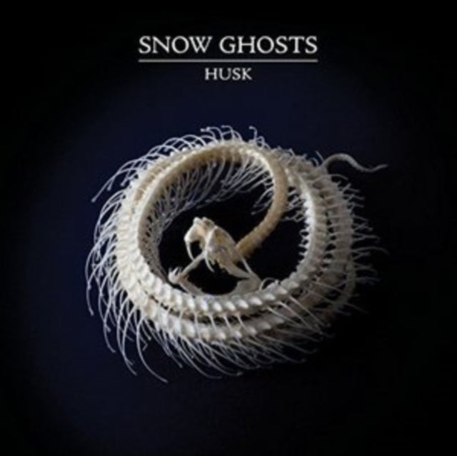 Product Image : This 12 Inch vinyl is brand new.<br>Format: 12 Inch vinyl<br>Music Style: Downtempo<br>This item's title is: Husk<br>Artist: Snow Ghosts<br>Label: HOUNDSTOOTH<br>Barcode: 802560207062<br>Release Date: 11/18/2016