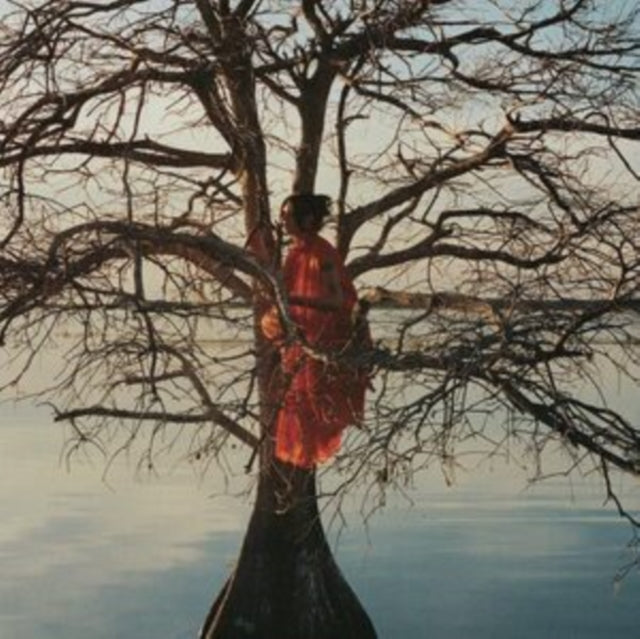 This LP Vinyl is brand new.Format: LP VinylThis item's title is: Eldest DaughterArtist: GatlinBarcode: 803020292512Release Date: 10/3/2025