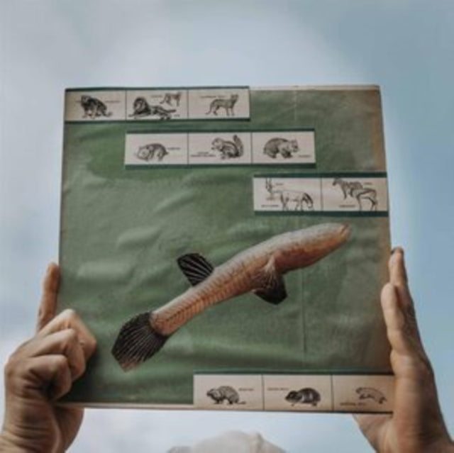 This LP Vinyl is brand new.Format: LP VinylThis item's title is: River Strumming (180G)Artist: Cotton JonesBarcode: 803238022314Release Date: 12/15/2023