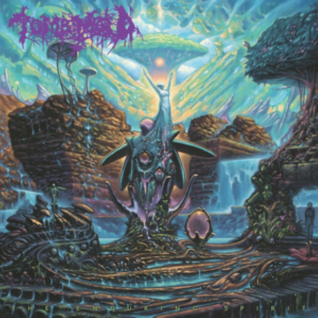 This is a 2 LP Vinyl SKU bundle.
1.This LP Vinyl is brand new.Format: LP VinylMusic Style: Death MetalThis item's title is: Enduring Spirit (Color LP Vinyl)Artist: Tomb MoldLabel: 20 BUCK SPINBarcode: 810079501205Release Date: 10/13/2023
2.This LP Vinyl is brand new.