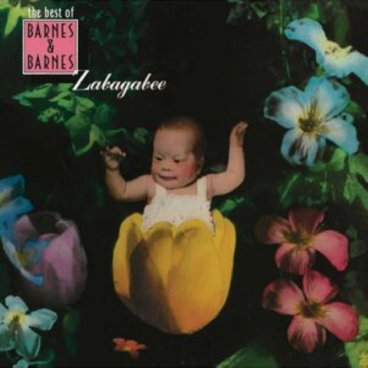 Zabagabee: The Best Of Barnes & Barnes