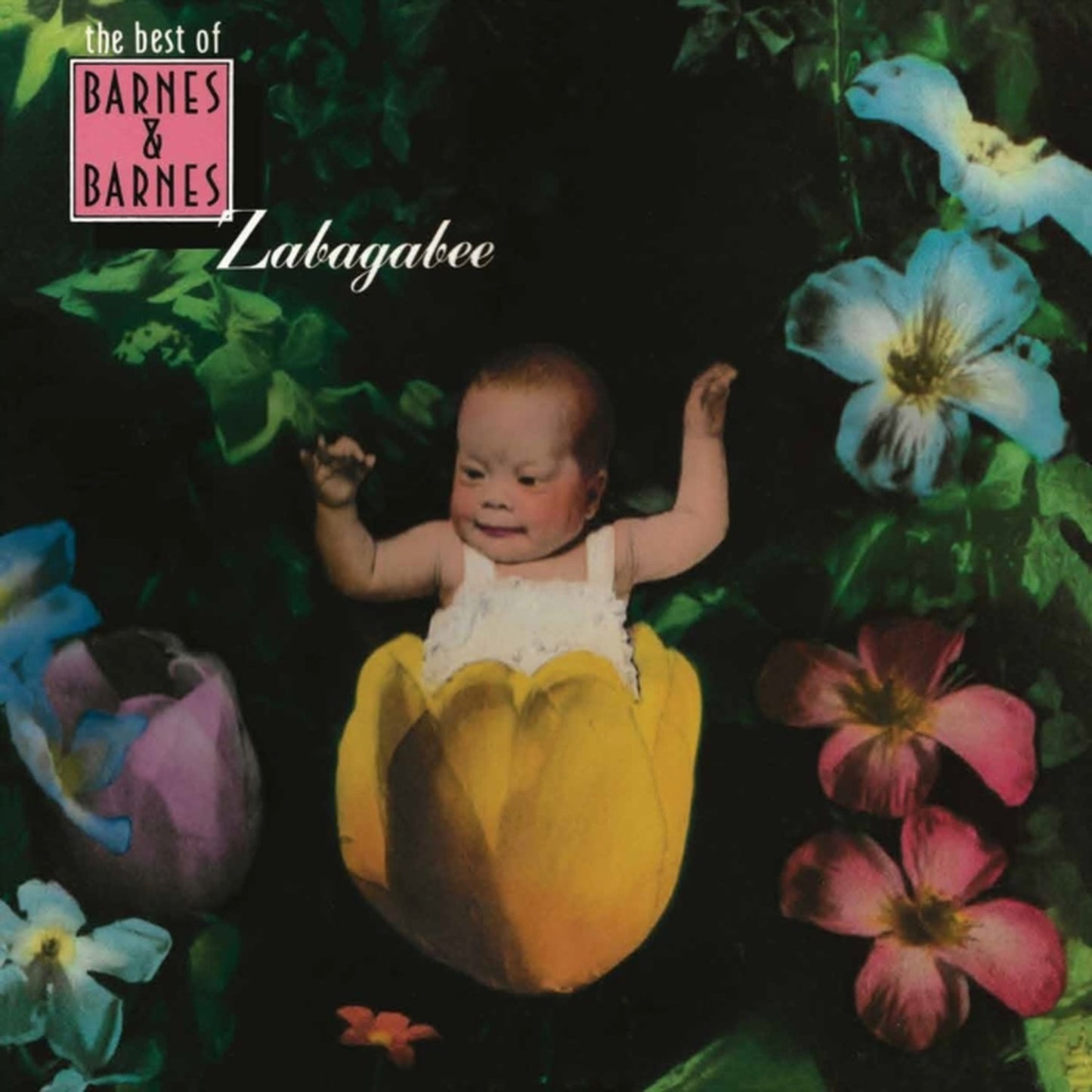 Zabagabee: The Best Of Barnes & Barnes