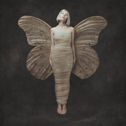 All My Demons Greeting Me As A Friend & What Happened To The Heart (Clear Vinyl/2LP)