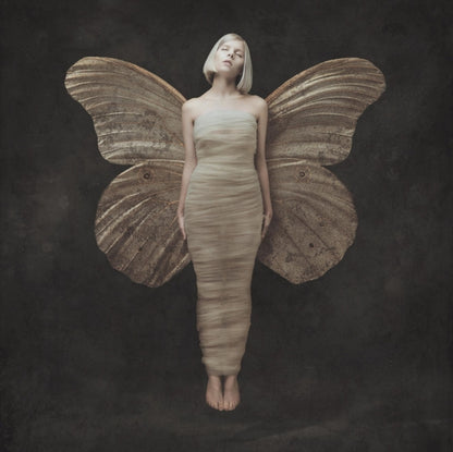 This is a 2 LP Vinyl SKU bundle.
1.This LP Vinyl is brand new.Format: LP VinylMusic Style: Indie PopThis item's title is: All My Demons Greeting Me As A Friend (Opaque Yellow LP Vinyl)Artist: AuroraBarcode: 602455644732Release Date: 10/27/2023
2.This LP Vinyl is brand new.