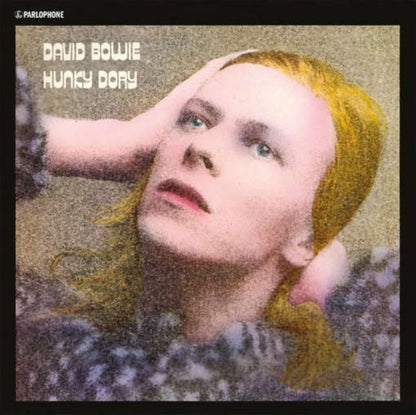 David Bowie - Earthling (2021 Remaster/2LP) & Low (2017 Remaster) & Station To Station (2016 Remastered Version) & Changesonebowie (180G) & Hunky Dory (2015 Remaster/50Th Anniv/Picture Disc) & Live Los Angeles 1974 (White LP Vinyl/Limited) & Ziggy