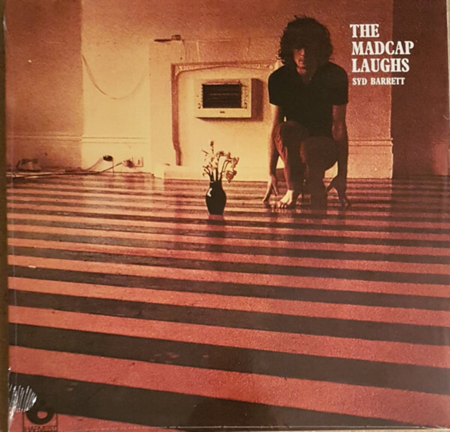 An Introduction To Syd Barrett (2LP) & Madcap Laughs