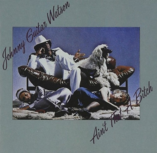 Johnny Guitar Watson - Ain't That A Bitch - CD