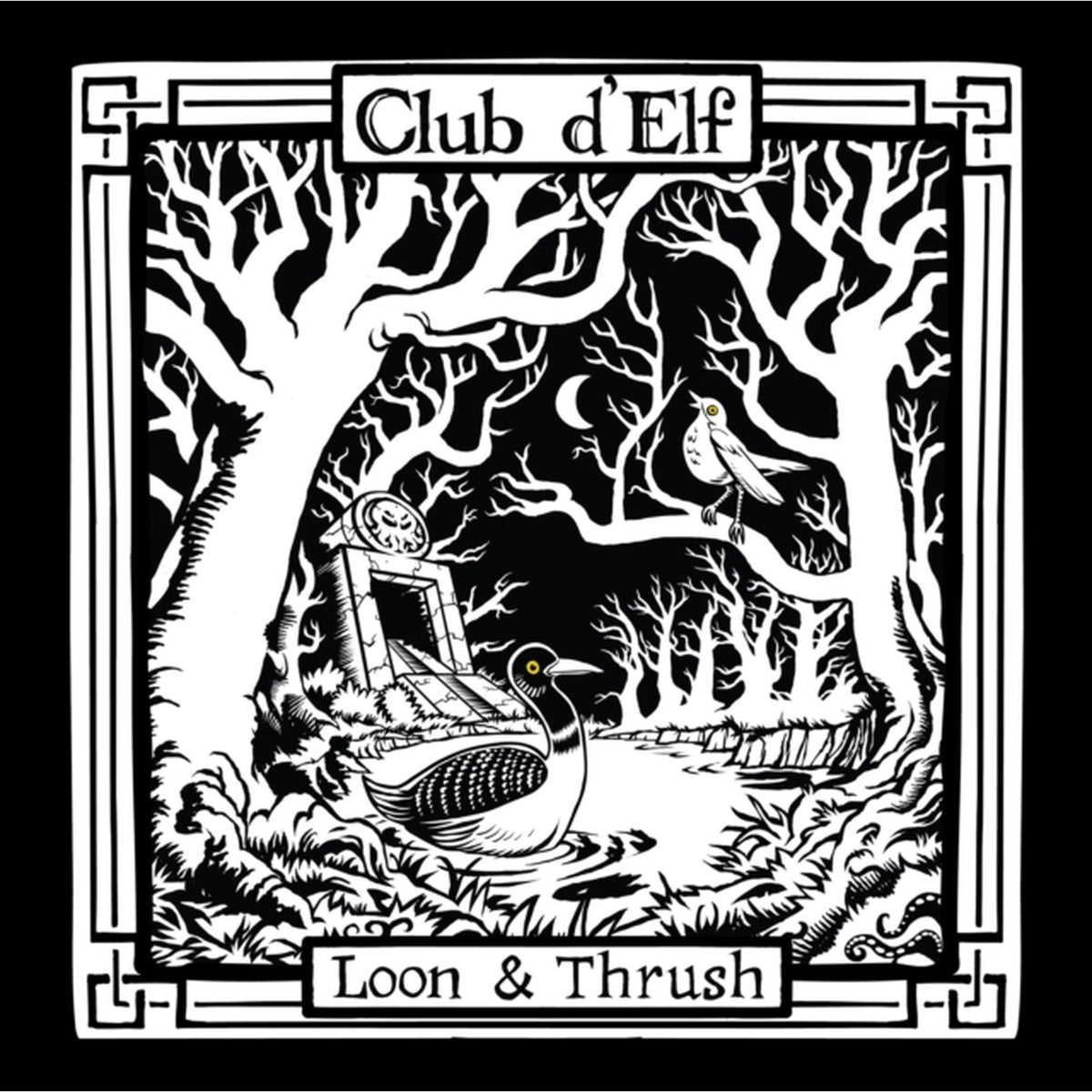 Loon & Thrush (2LP)