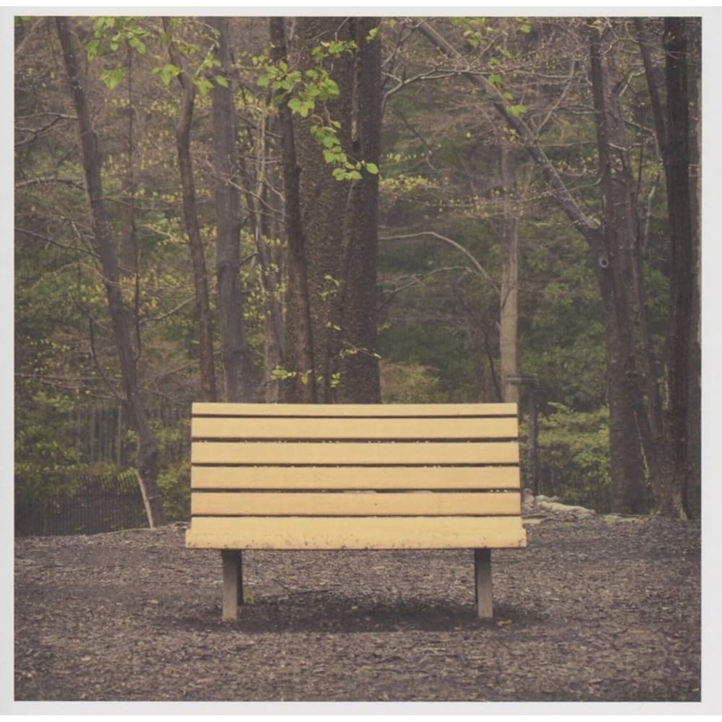 Hands That Thieve (Clear LP Vinyl/Reissue)
