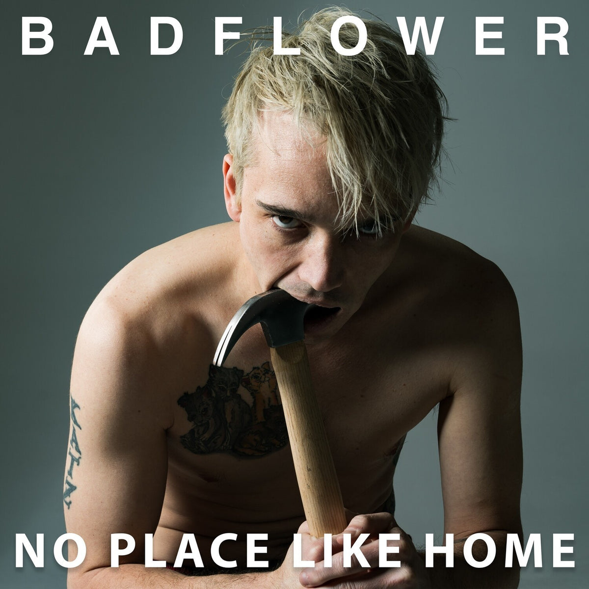 No Place Like Home (Pure Cloudy Vinyl/2LP)