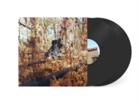 Golliwog (2LP)